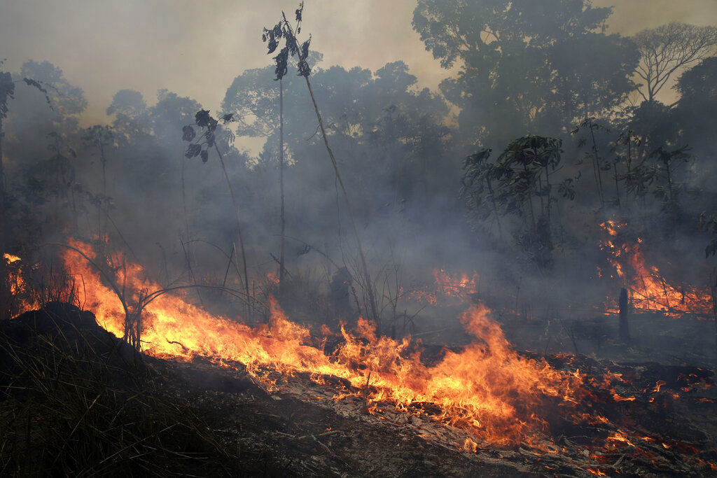 Brazil Amazon Fires